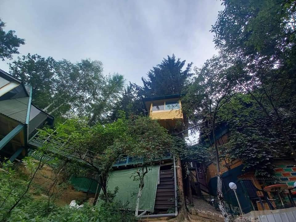 Tree House Appartement Visoko Buitenkant foto